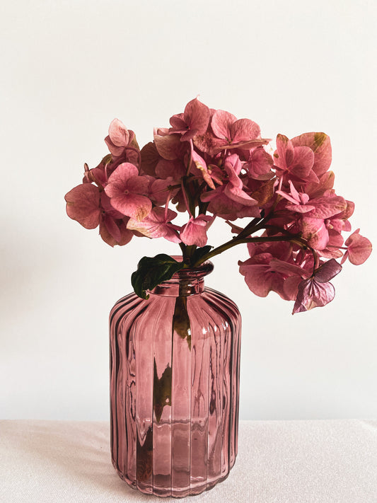 Vase Linien donkerrond
